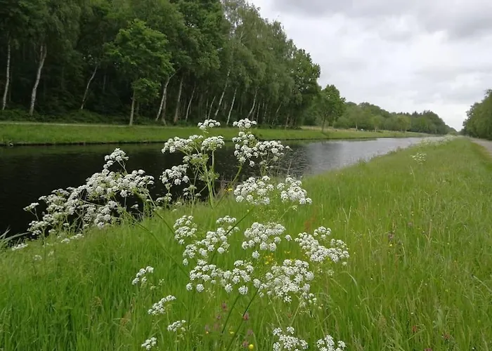 Σπίτι διακοπών Im Moor Wiesmoor